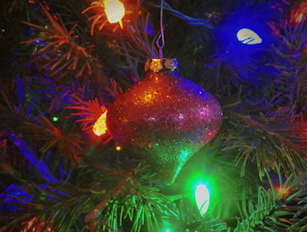 Christmas
                  Ornament
