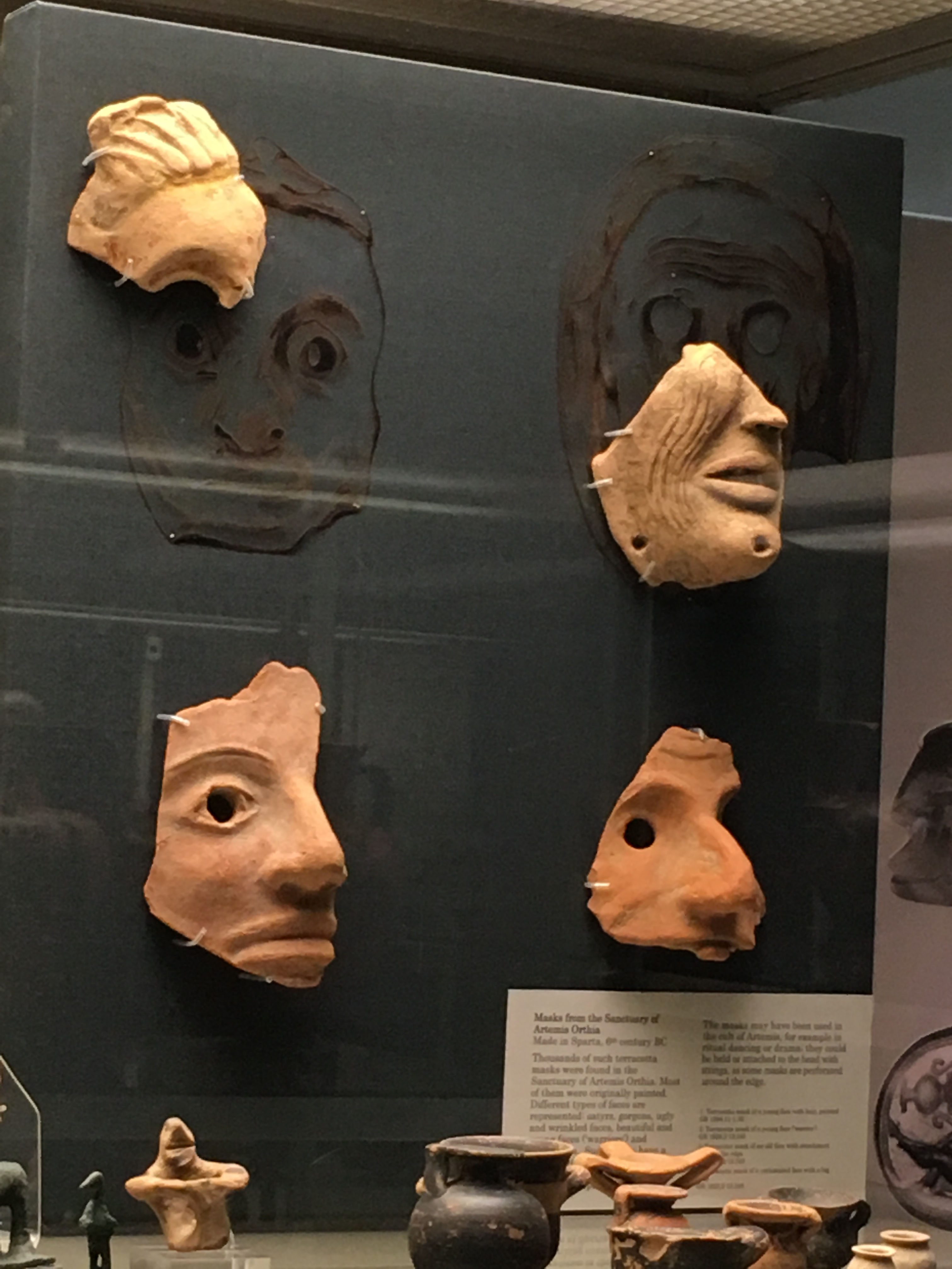 Noses, Mouths, Smell, Taste